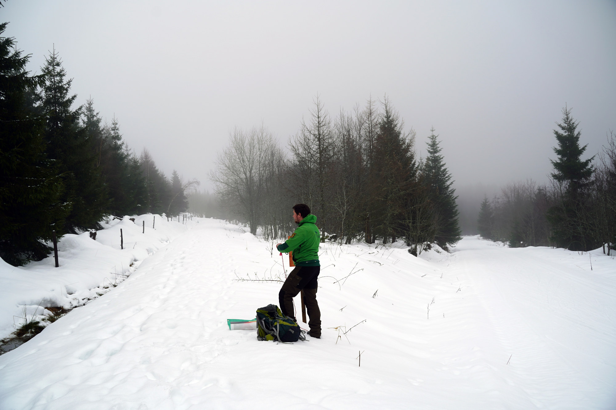 Ein verschneiter Waldweg, am Rand steht ein Ranger in grüner Outdoorjacke und schaut den Weg entlang.