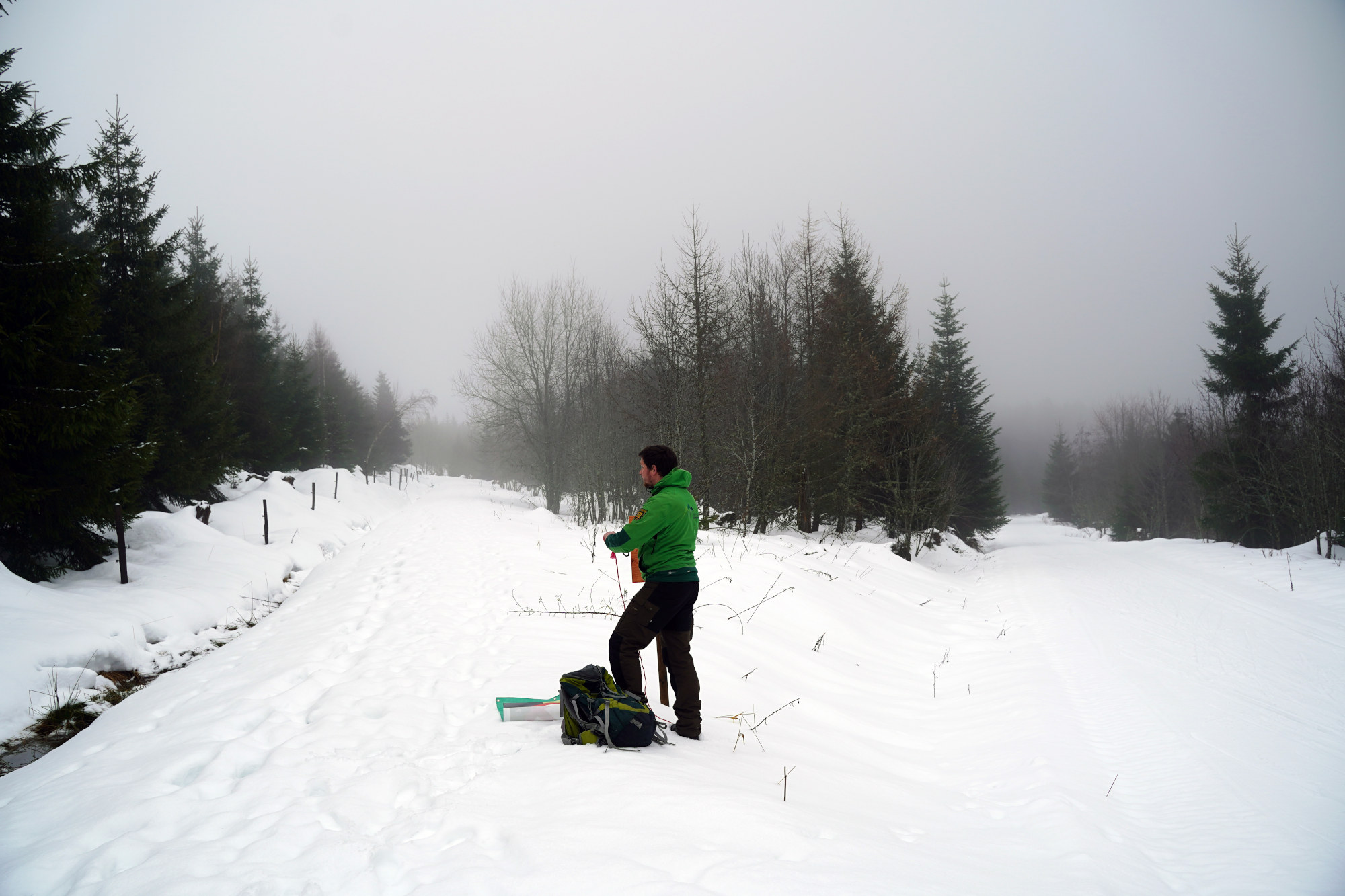 Ranger Lukas bereitet das Hängen eines Banners vor. © Oliver Gewald/ Nationalpark Schwarzwald Ein verschneiter Waldweg, am Rand steht ein Ranger in grüner Outdoorjacke und schaut den Weg entlang.