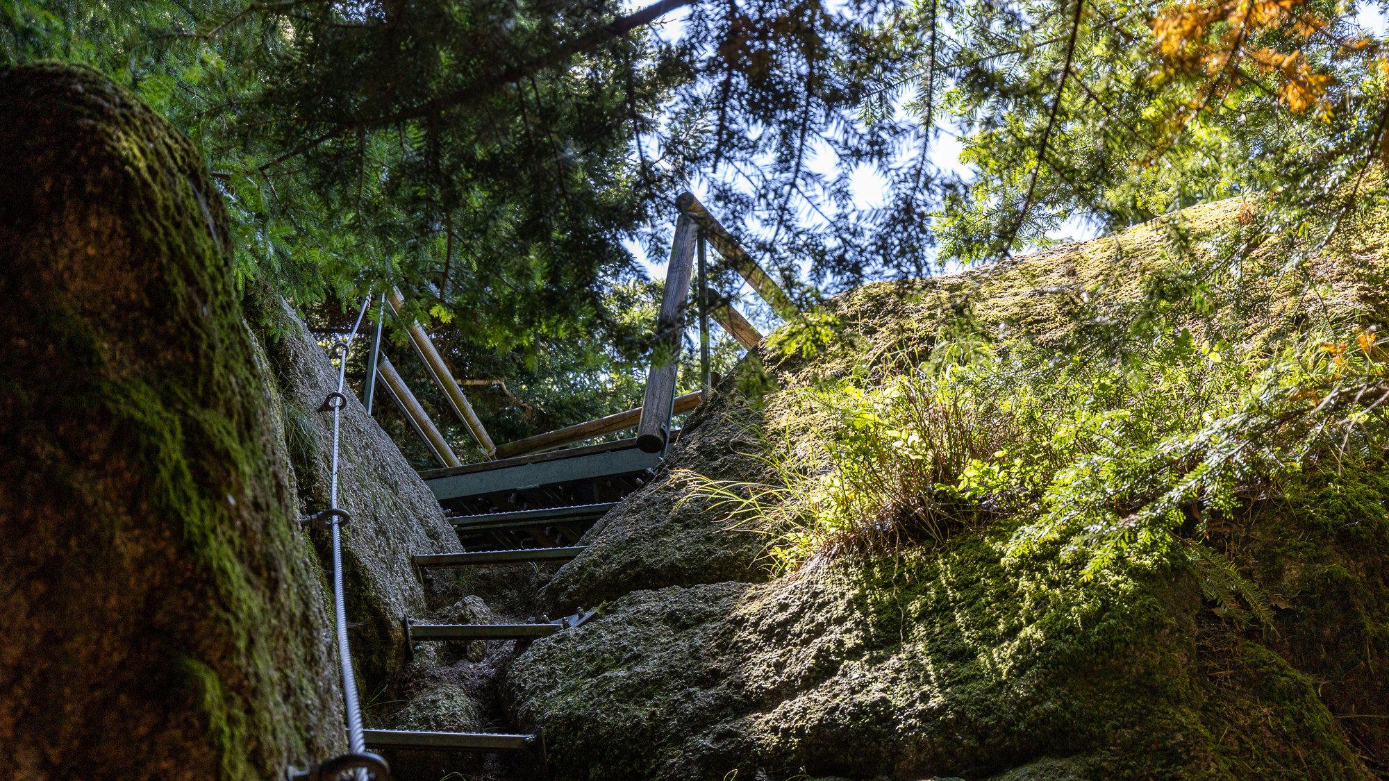 Eine metallene Leiter führt im Wald einen Felsen hinauf.
