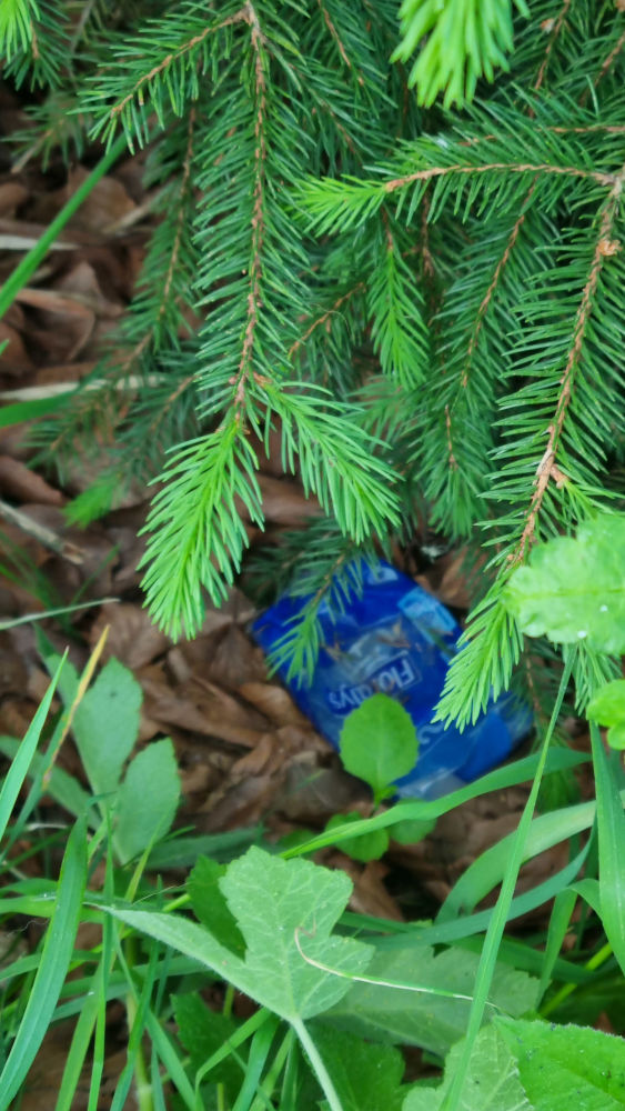 Das Bild zeigt eine leere, blaue Papiertaschentuchpackung aus Plastik.