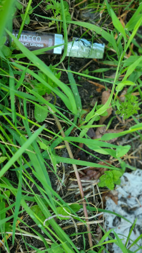 Das Bild zeigt einen Wimperntuschebehälter und ein älteres, halb zersetztes Papiertaschentuch im Gras.