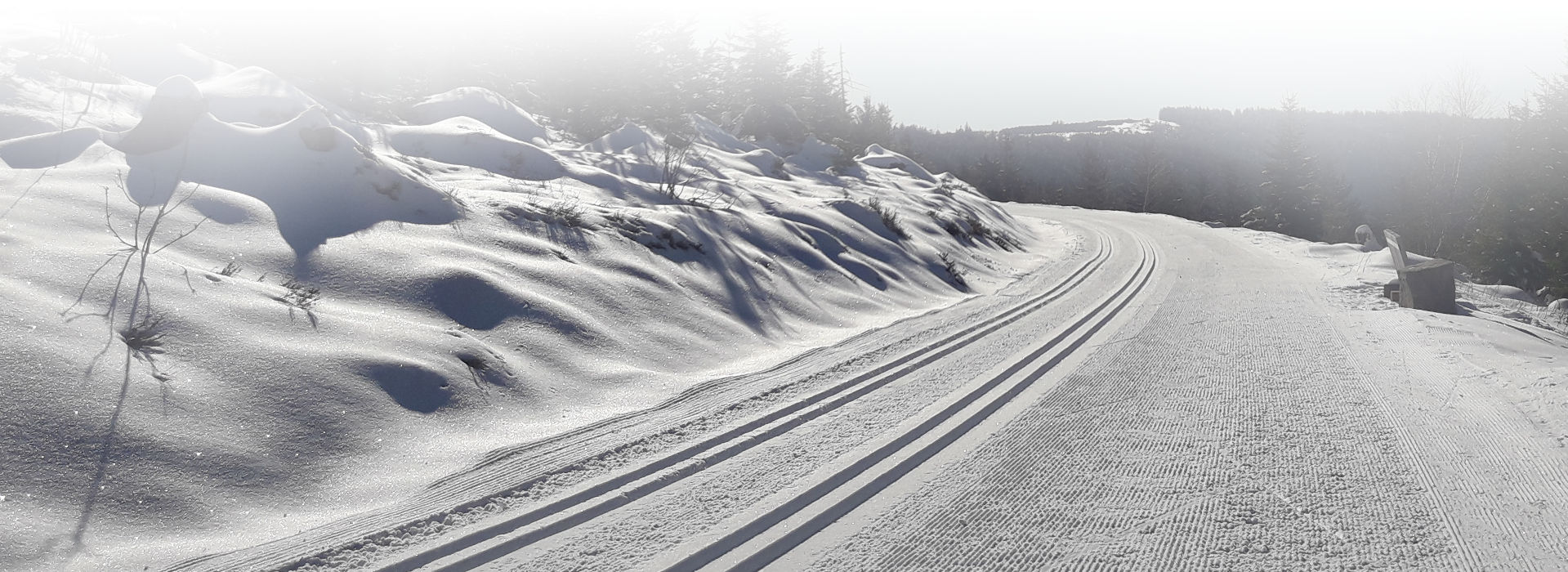Ein mit tiefem Schnee bedeckter, leicht ansteigender Weg an einem strahlend sonnigen Wintertag. Die eine Hälfte des Weges sieht aus wie frisch geharkt und platt gewalzt, über die andere Hälfte ziehen sich vier parallele Spuren, die in den gewalzten Schnee gefräst wurden.