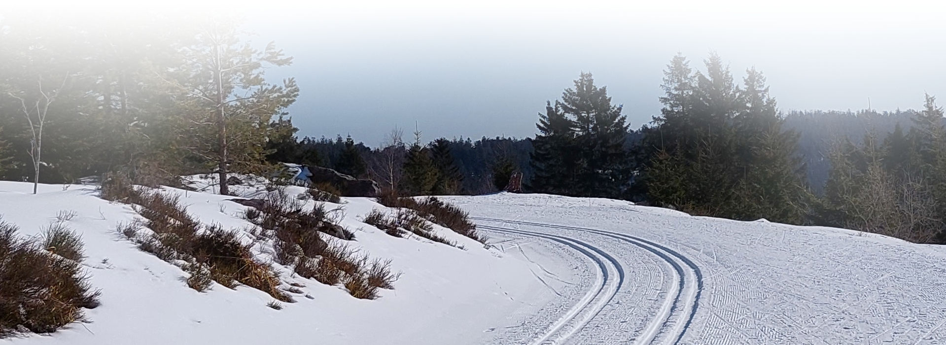 Ein verschneiter Waldweg mit einer glatt gewalzten Oberfläche und zwei tiefen, parallelen Spuren, die um eine Kurve führen. Der Himmel im Hintergrund ist blau, die Sonne scheint.