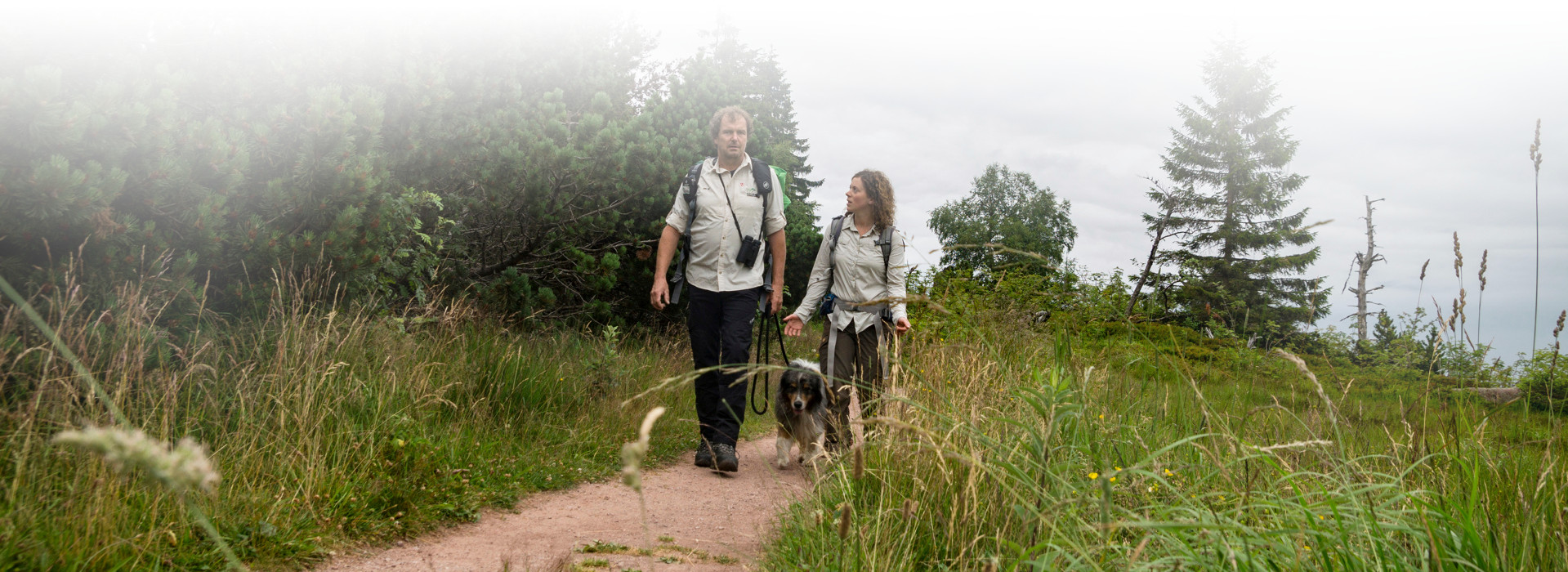 Ein Ranger und eine Rangerin im beigefarbenen Hemd laufen auf einem schmalen Pfad der Kamera entgegen - rechts und links des Weges grüne Wiese. Foto: Daniel Müller (Nationalpark Schwarzwald)