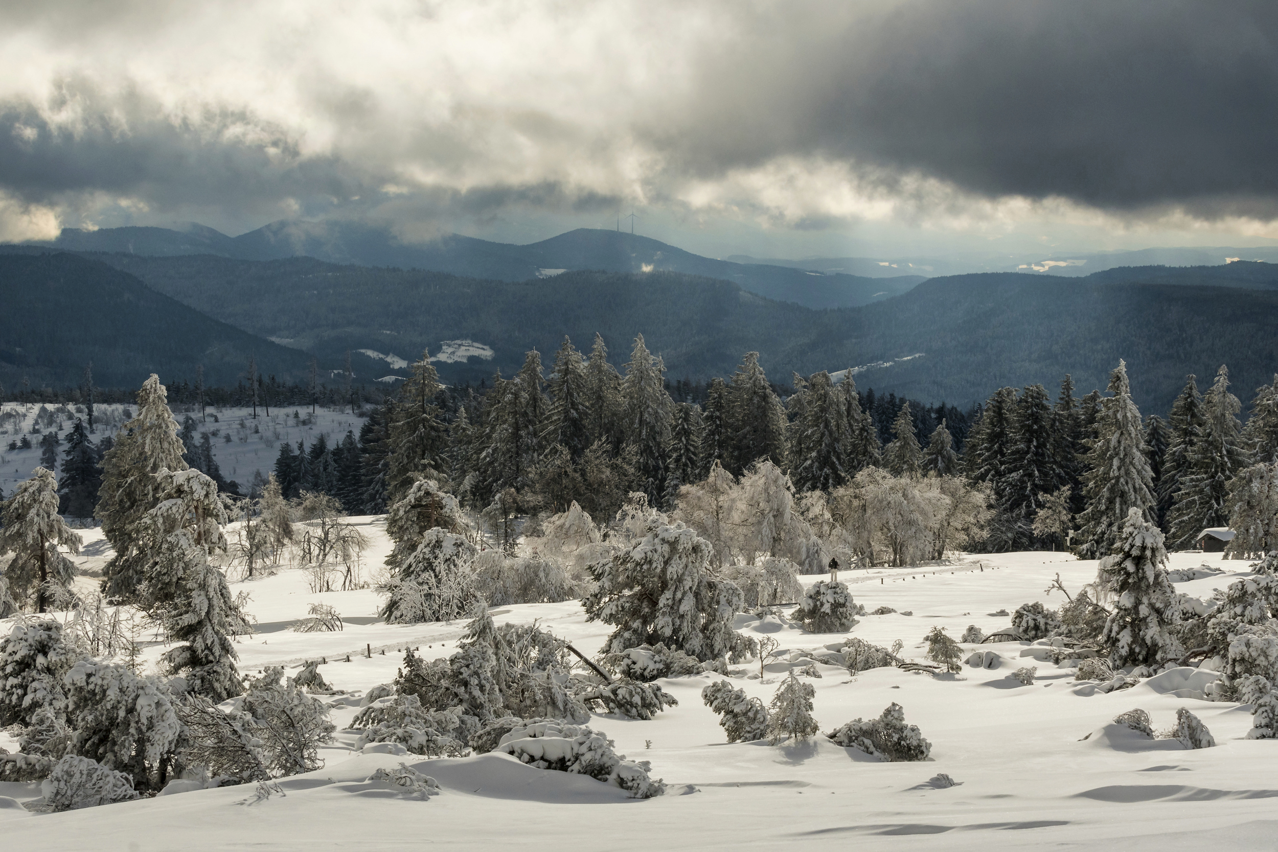 Bild einer weiß verschneiten Landschaft mit Hügeln und Wald im Hintergrund.