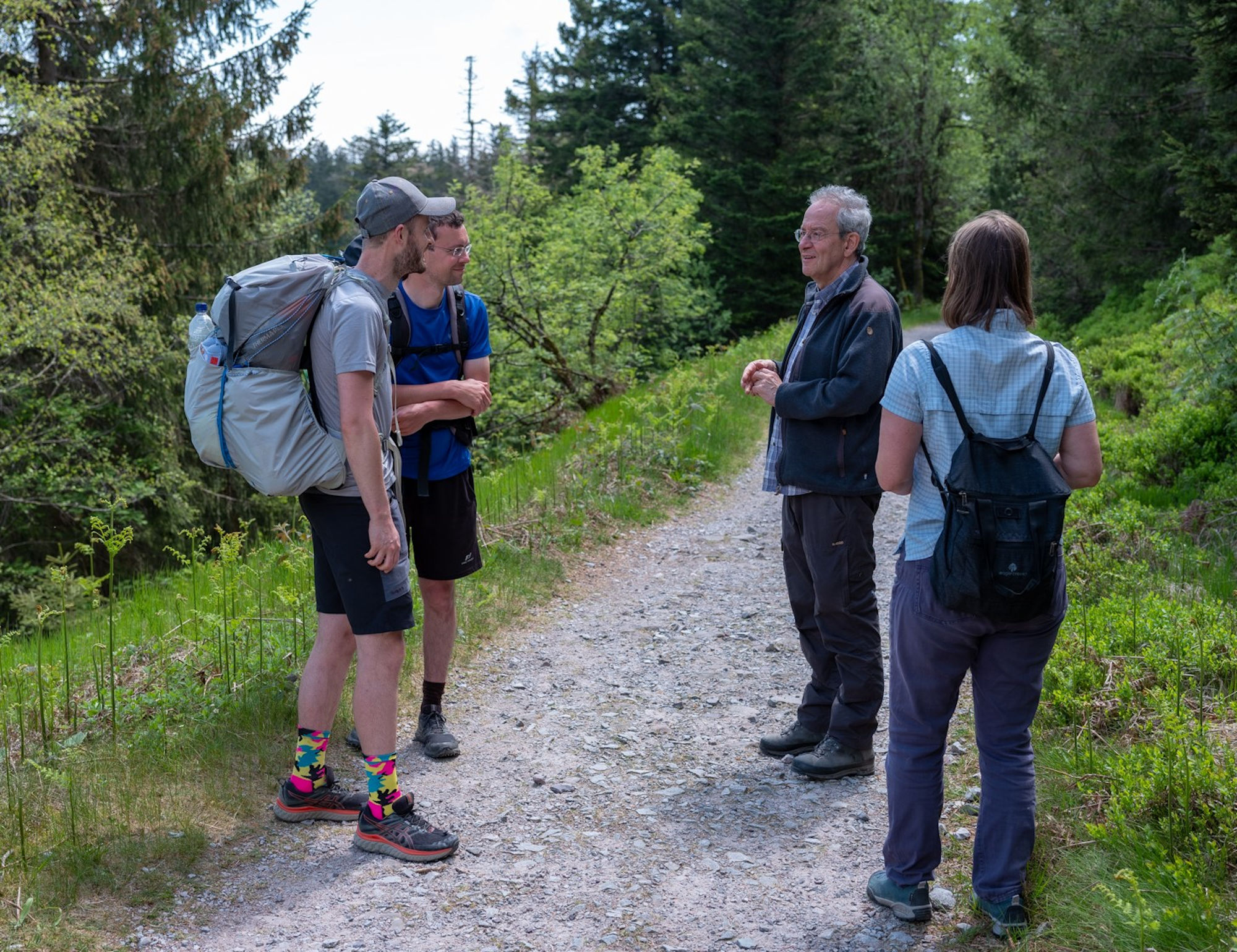 Vier Personen mit Outdoorkleidung und Rucksäcken im Gespräch auf einem Waldweg.