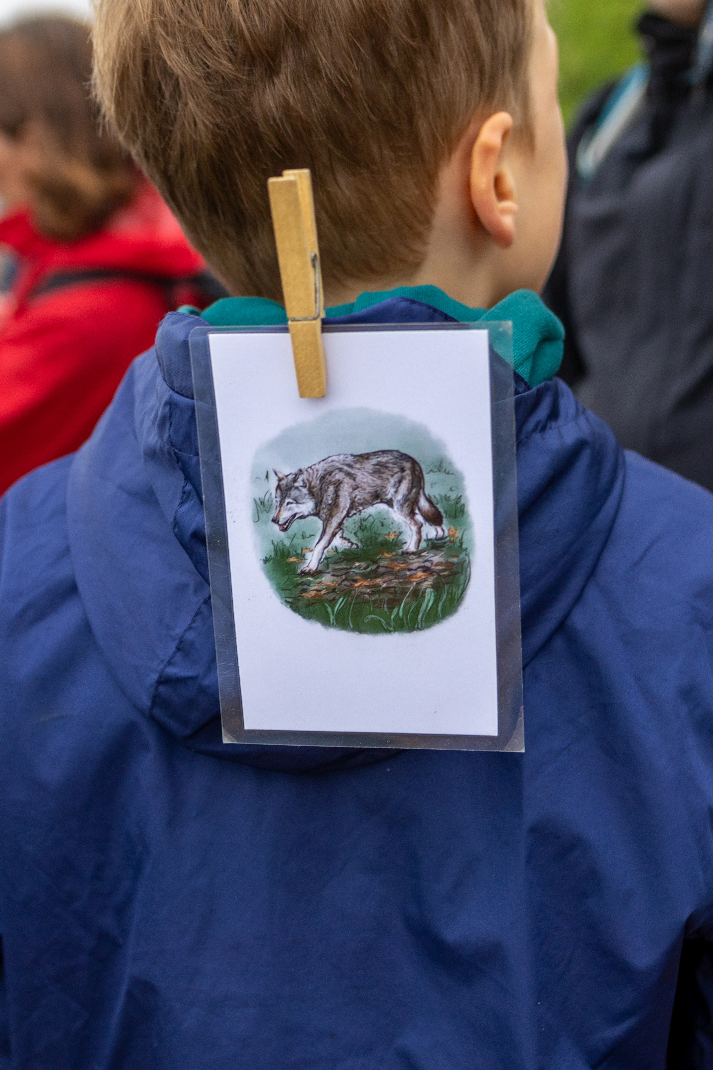 Hinterkopf und Rücken von einem Kind. Das Kind trägt eine Regenjacke. An der Kaputze ist eine Karte mit einer Wöscheklammer angebracht. Auf der Karte ist ein Wold gemalt.