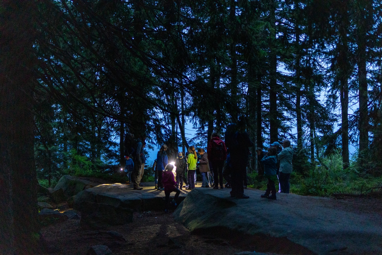 Eine Gruppe von Menschen steht in der Dämmerung auf flachen Felsen im Wald. Sie stehen um einen Lichtkegel.