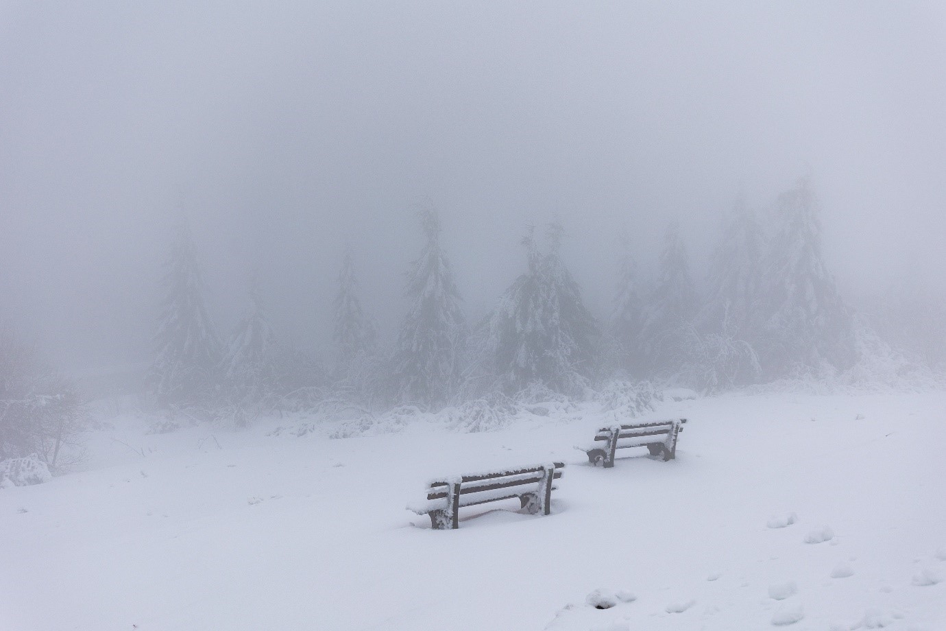 Zwei Bänke im Schnee mit Blick auf einen nebligen Nadelwald. Foto: Andreas Forch