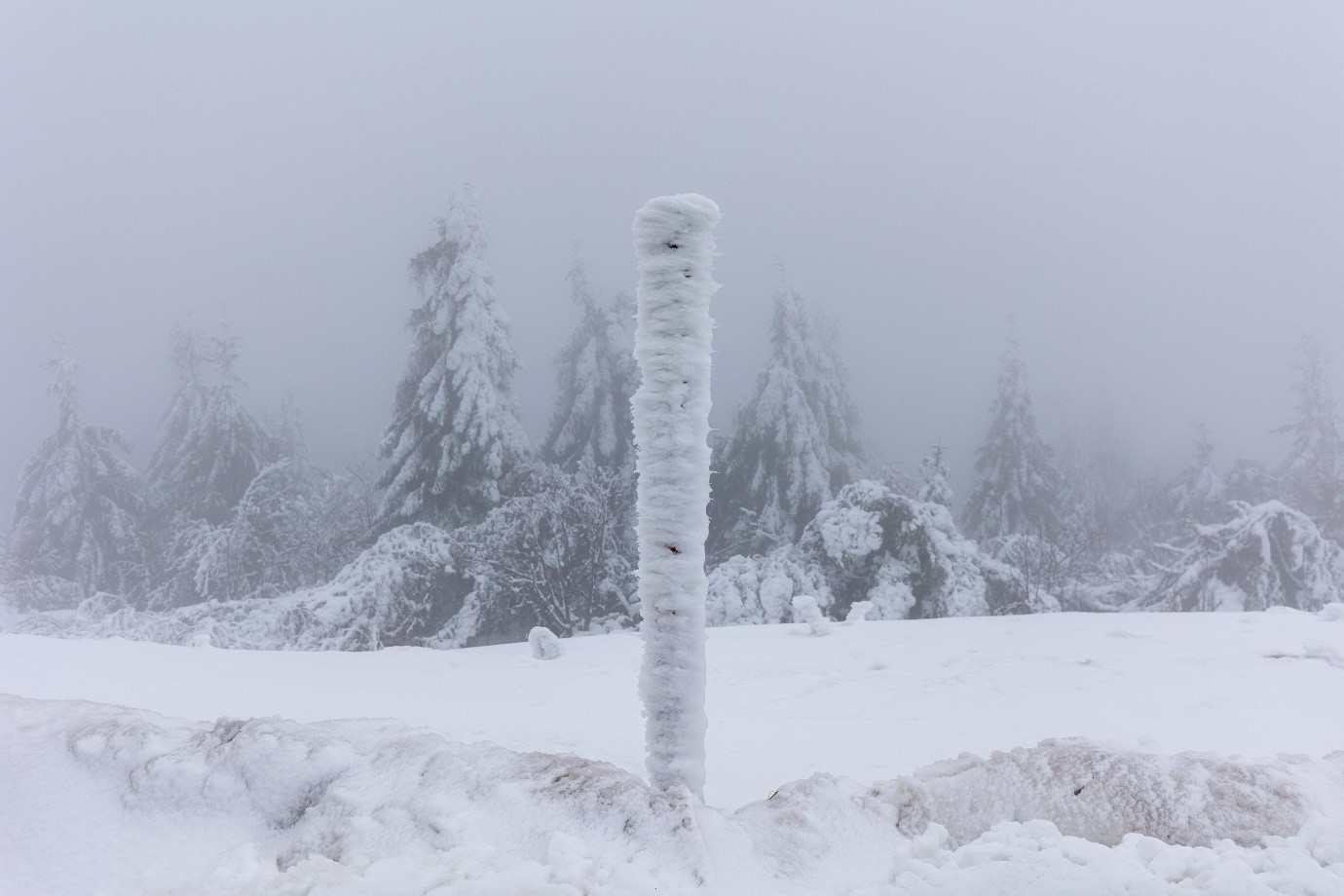 Verschneiter Markierungspfosten in Winterwald. Foto: Andreas Forch