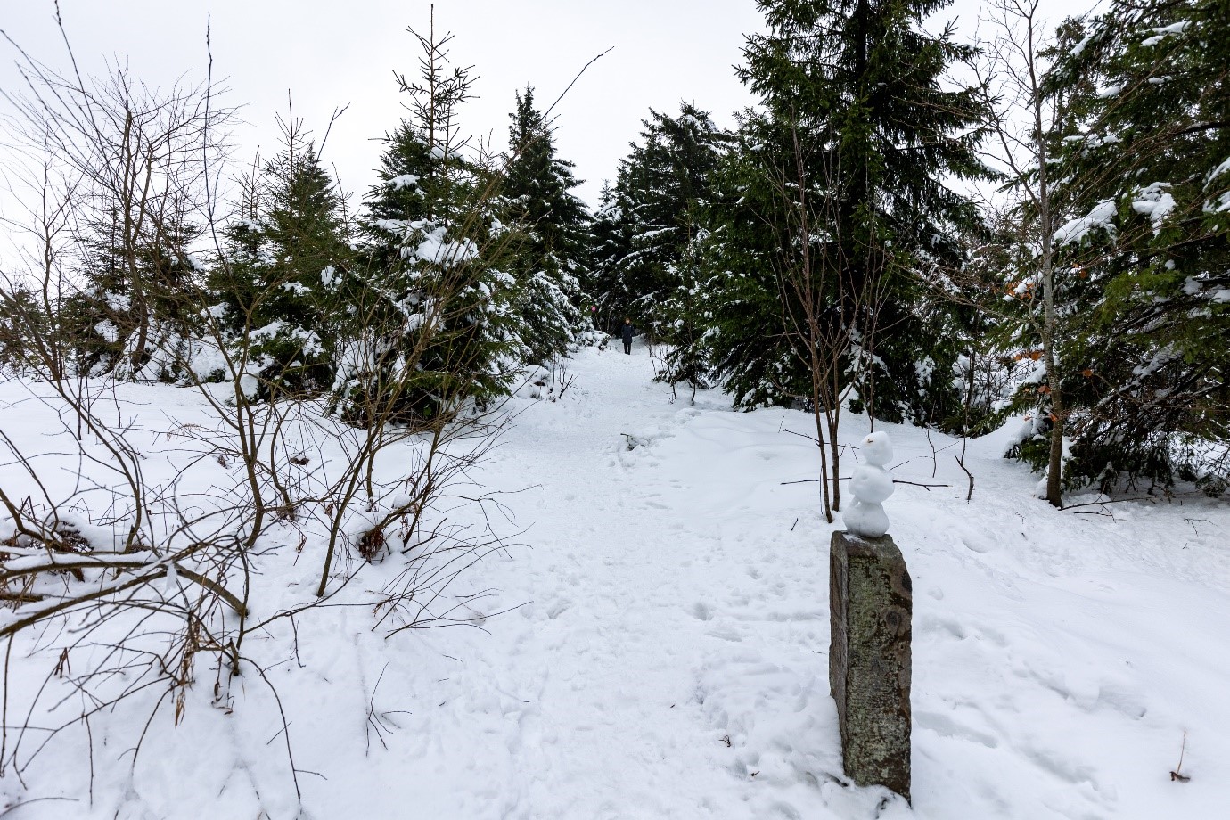 Schneemann im verschneiten Winterwald. Foto: Andreas Forch