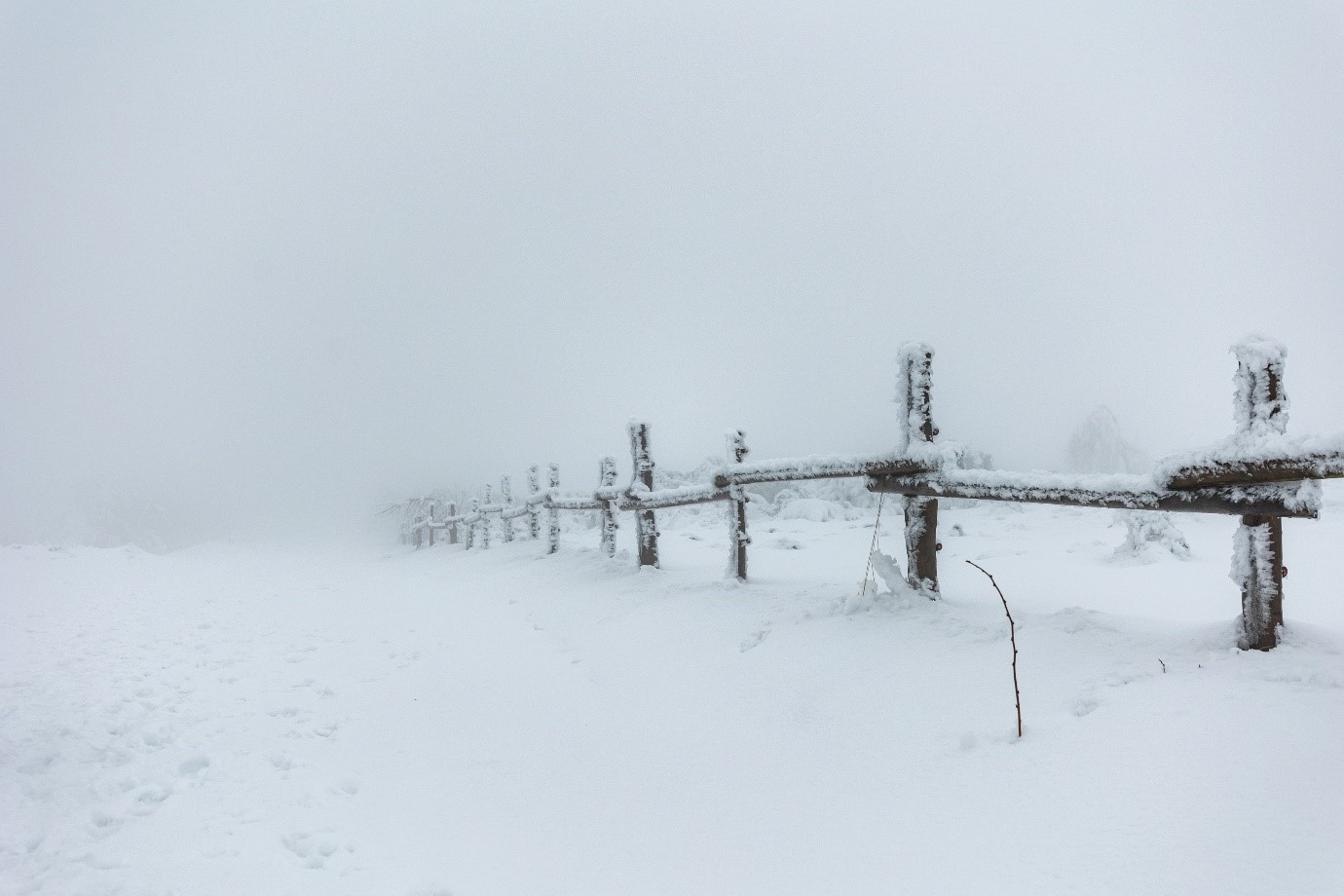 Vom Nebel im hinteren Teil verschluckter und eingeschneiter Zaun. Foto: Andreas Forch