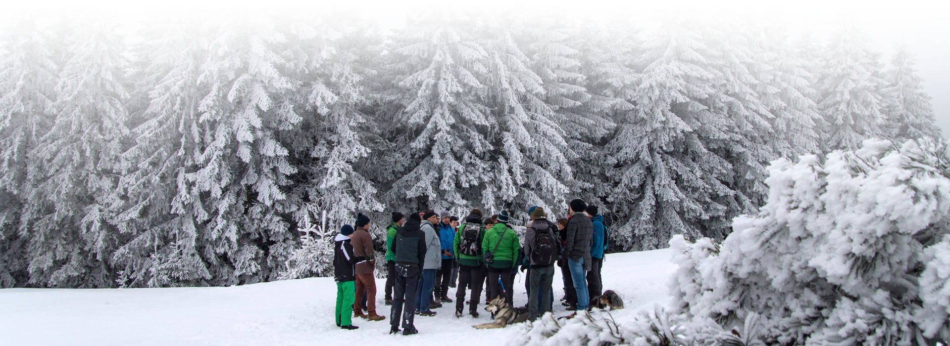 Winterlandschaft im Schwarzwald: Im Hintergrund schneebedeckte Nadelbäume, im Vordergrund auf einer Schneefläche eine Gruppe winterlich gekleideter Personen und ein Hund. Die Menschen scheinen miteinander zu reden, sie stehen einander zugewandt beisammen.