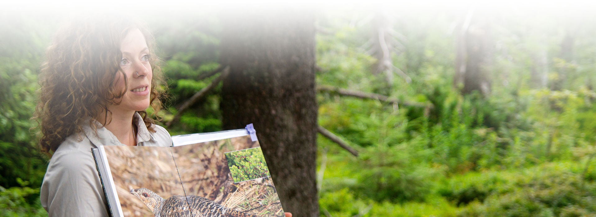 Eine Rangerin steht im Wald und hält ein aufgeschlagenes Buch mit den Seiten nach vorne in den Händen. Auf dem Bild im Buch ist eine Auerhenne zu sehen.