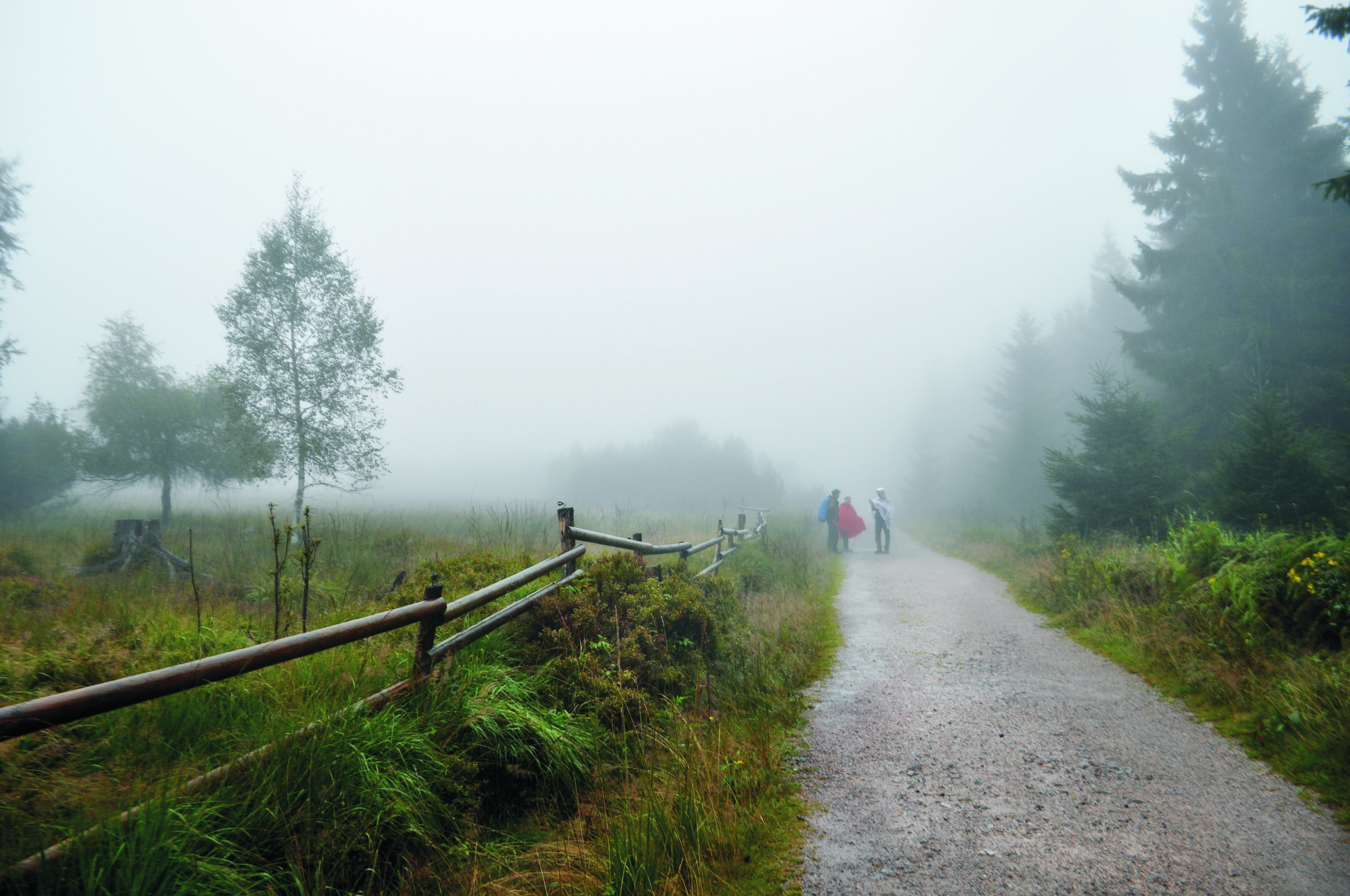 Waldbrandrisiko entspannt
