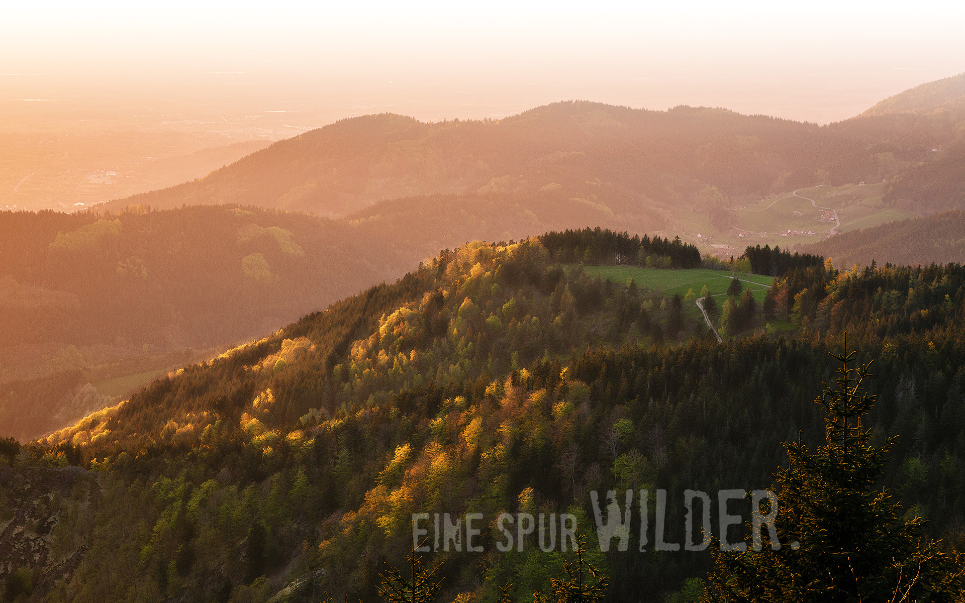 Hintergrundbild klar
