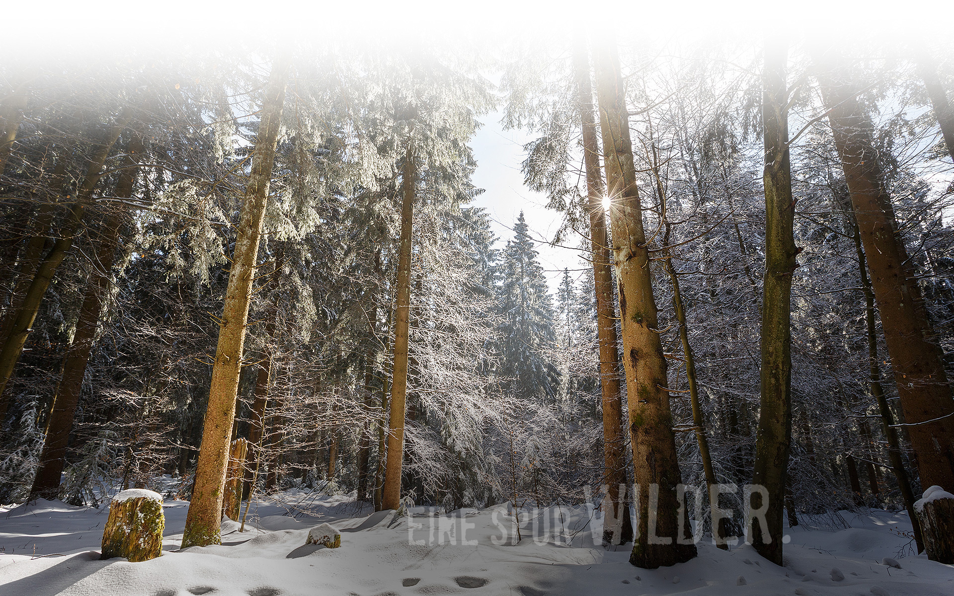 Hintergrundbild klar