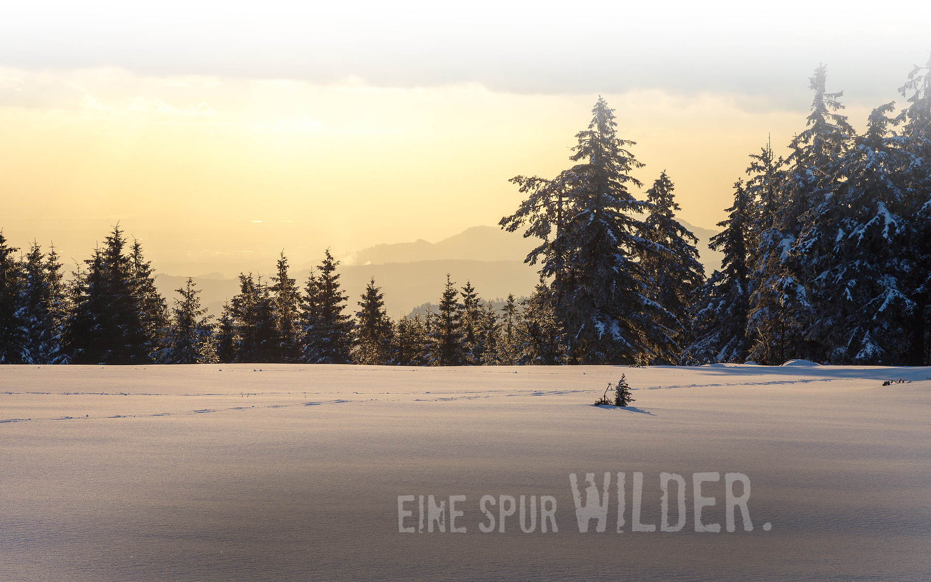 Hintergrundbild klar