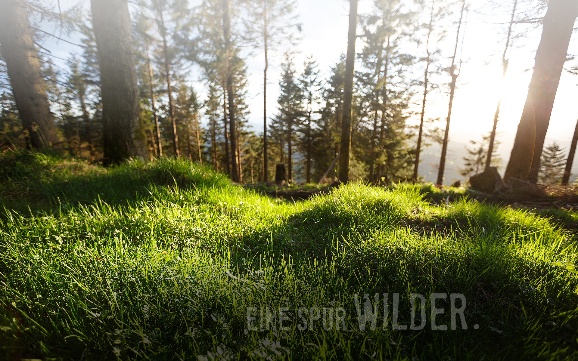 Hintergrundbild wolkig