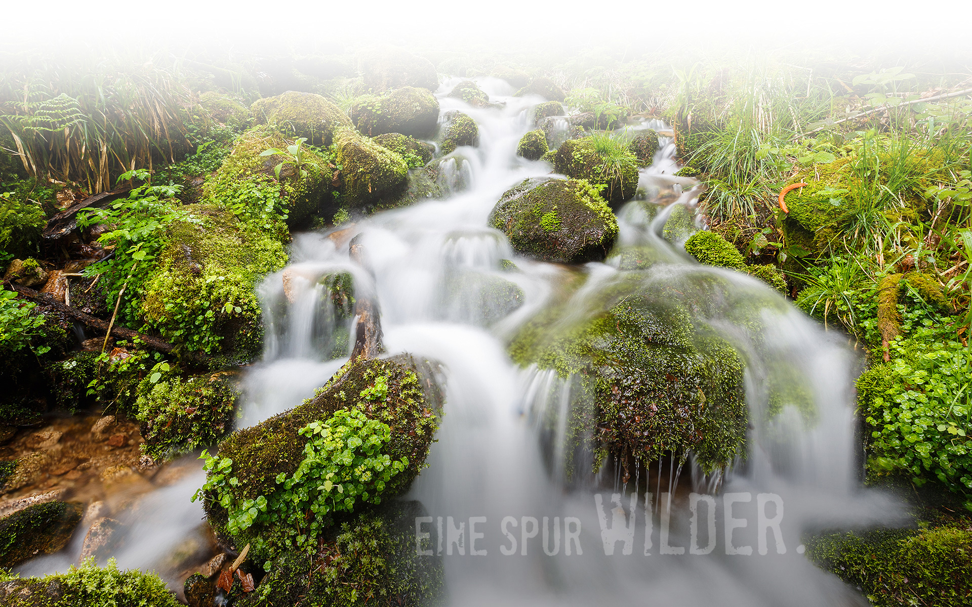 Hintergrundbild Nieselregen