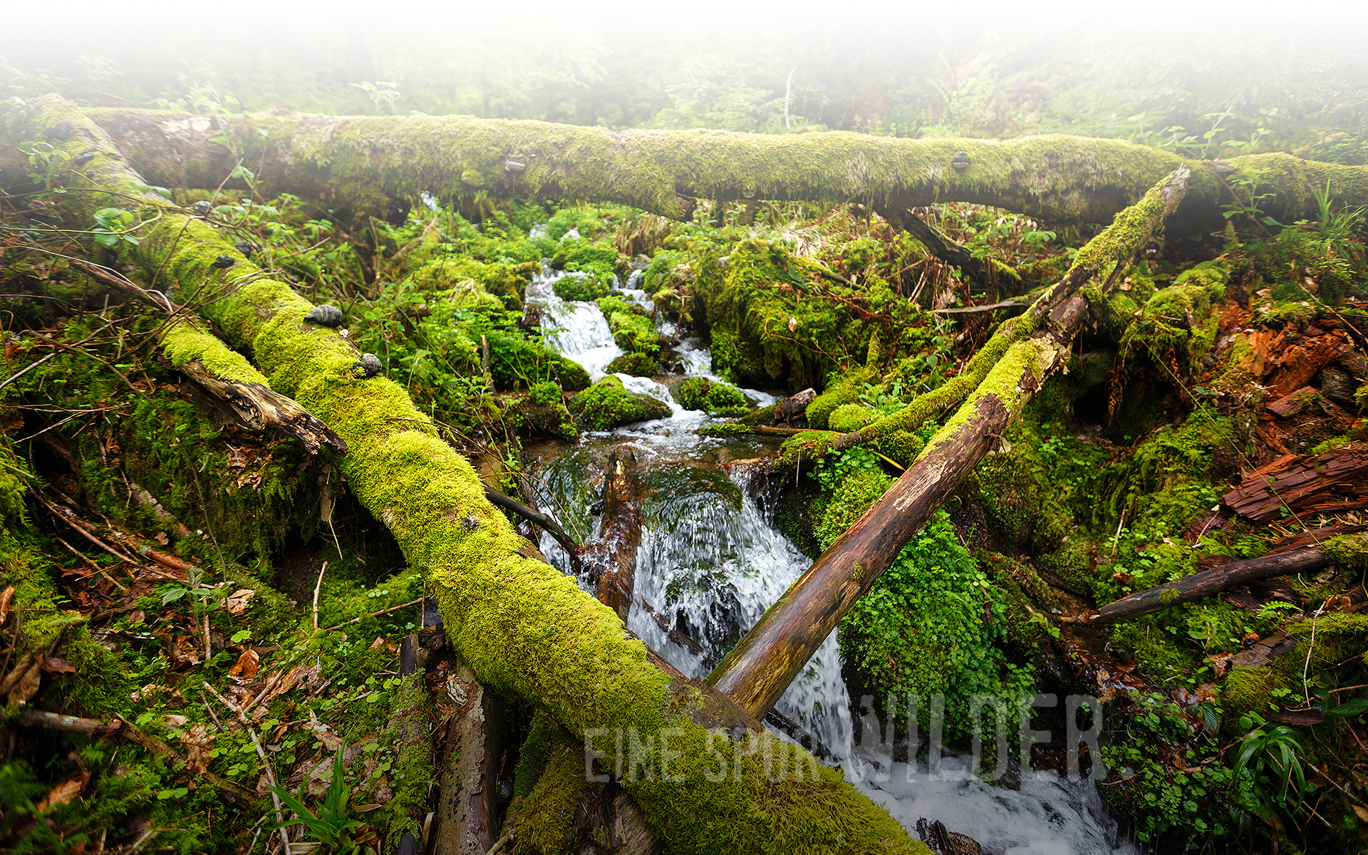 Hintergrundbild Nieselregen