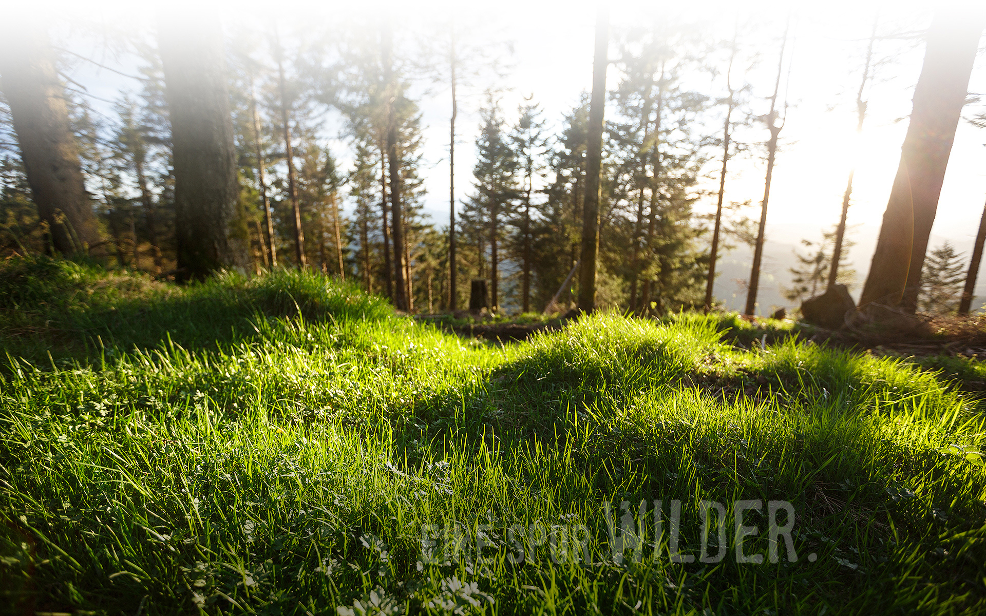 Hintergrundbild leicht bewölkt
