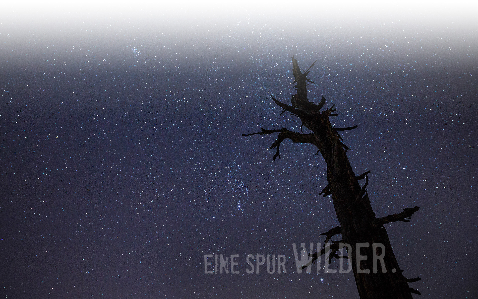 Hintergrundbild Schnee