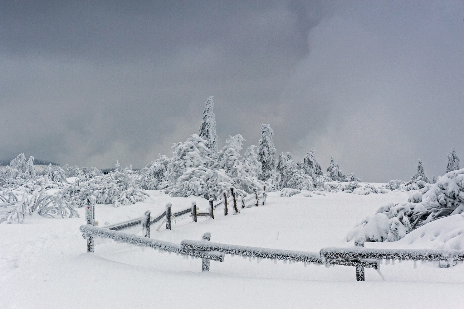 Winterlandschaft am Schliffkopf © Luis Scheuermann