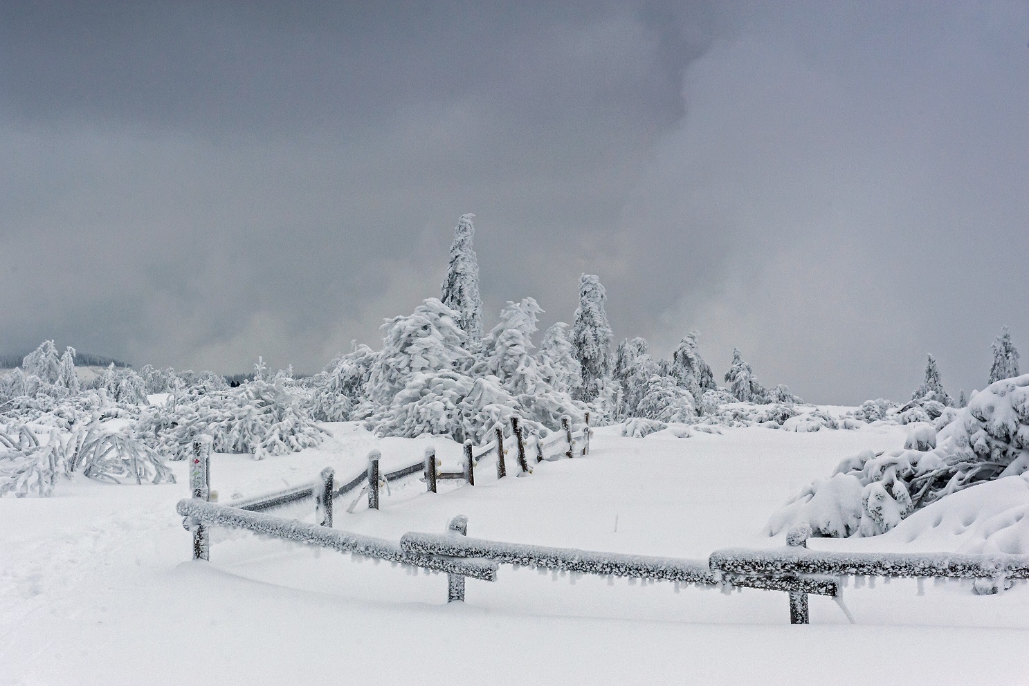 Winterzauber am Schliffkopf © Luis Scheuermann Winterlandschaft am Schliffkopf © Luis Scheuermann