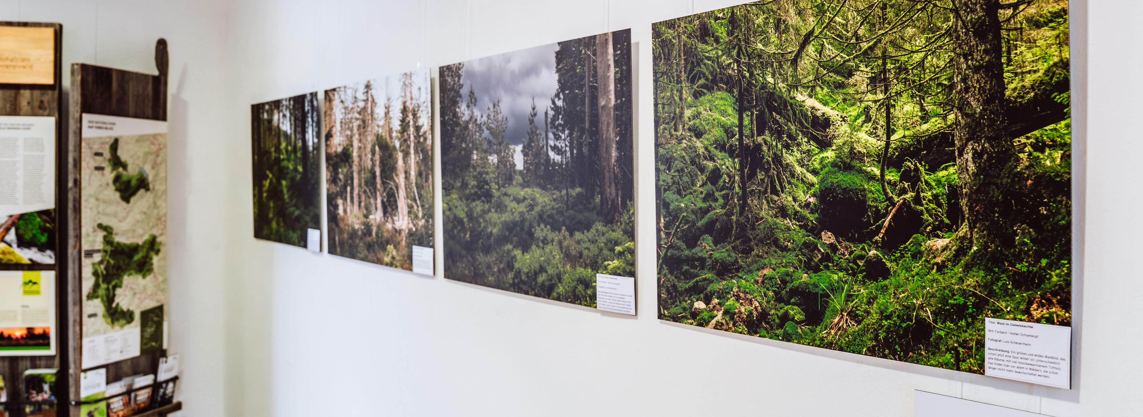 Vier Bilder mit Waldmotiven hängen an einer weißen Wand. Foto: Baiersbronn Touristik / Max Günter