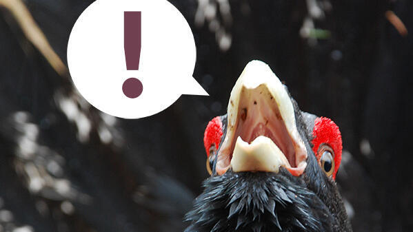 Aktuelles zum Nationalparkzentrum