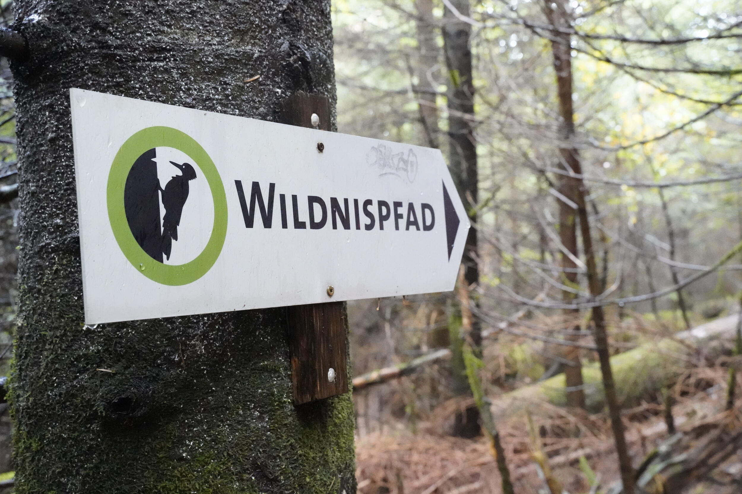 Schild Wildnispfad im Nationalpark. @ Judith Wildt Bastos