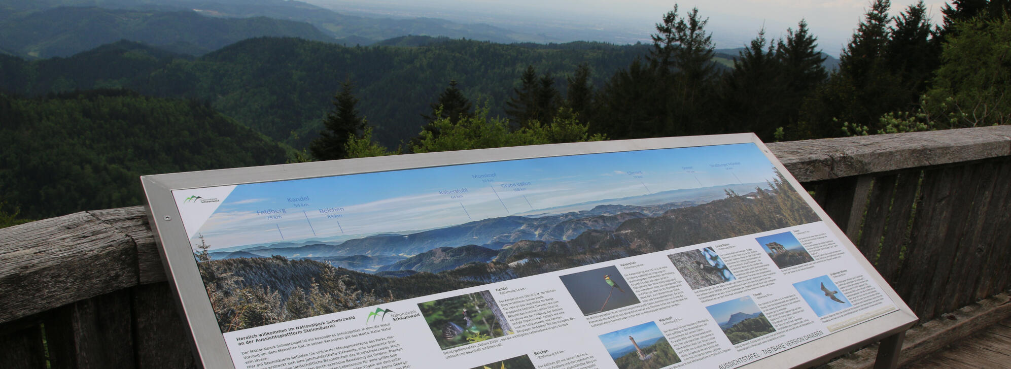 Eine Tafel mit mehreren Bildern und Texten. Hinter der Tafel sind Berge und Wald. Foto: Ekaterina Nastah