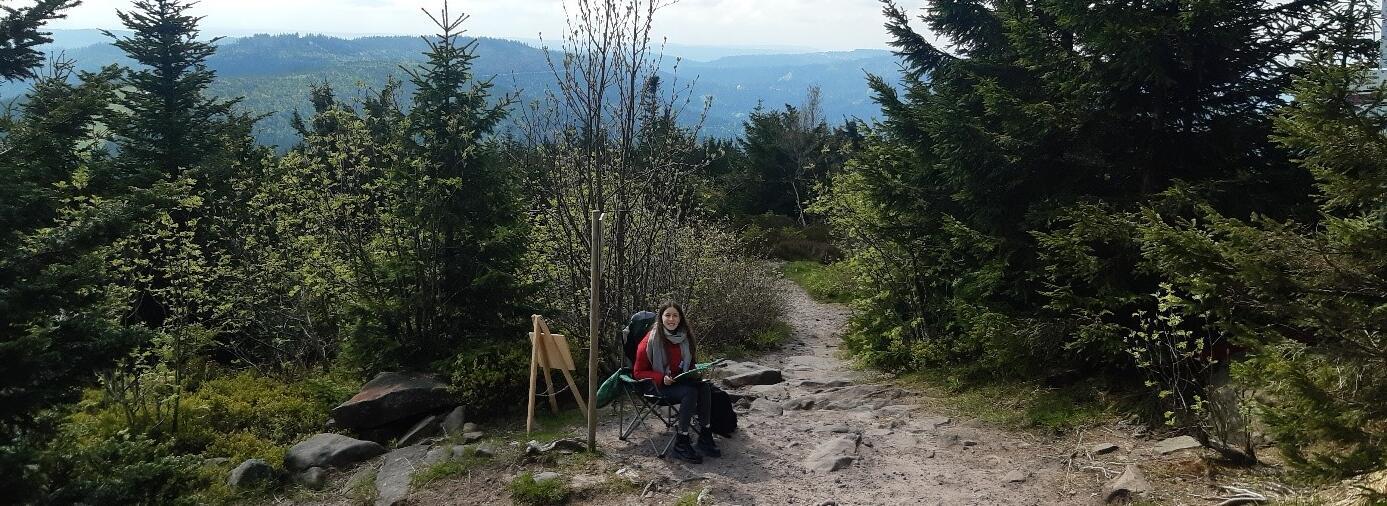 Eine Person, die Befragungen durchführt, sitzt an einer Kreuzung von kleinen Wanderwegen im Nationalpark.