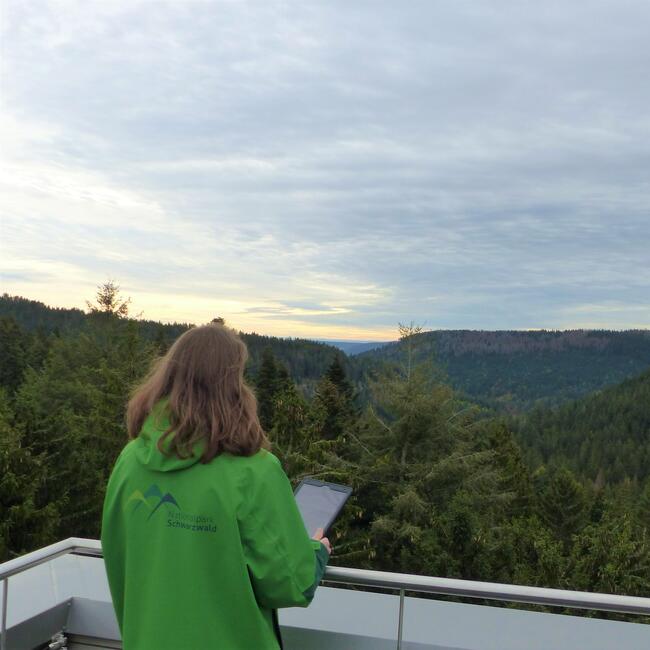 Eine Frau in einer grünen Regenjacke des Nationalparks. Sie hat ein Tablet in der Hand und schaut von einem Aussichtspunkt über den Wald.