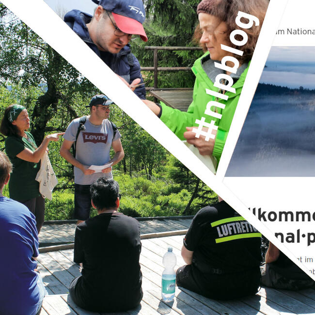 Eine Gruppe bei einer Führung, ein Mann und eine Frau im Austausch, Webseite des Nationalparks in Leichter Sprache
