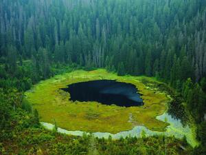 See mit Wald