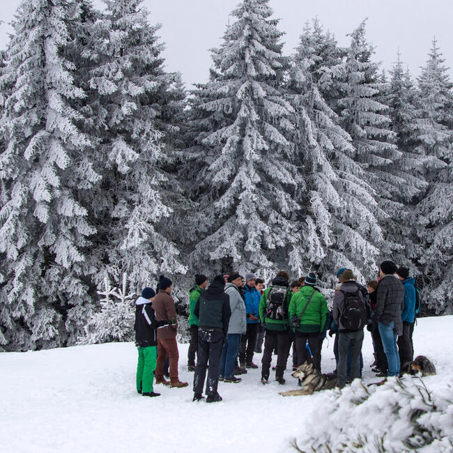Weiße Winterlandschaft im Schwarzwald: Schneebedeckte Nadelbäume im Hintergrund, davor auf der Schneefläche eine Gruppe winterlich gekleideter Personen und ein Hund, die zueinandergewandt beisammen stehen und miteinander zu reden scheinen.