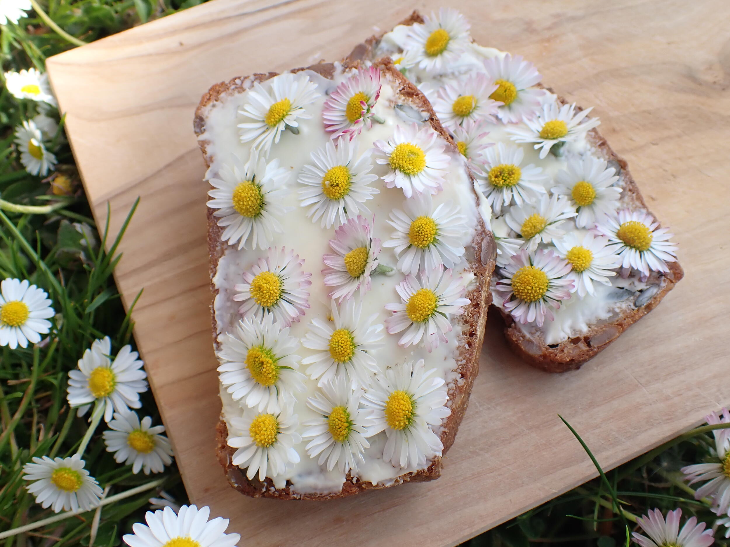 Ein Butterbrot belegt mit Gänseblümchen