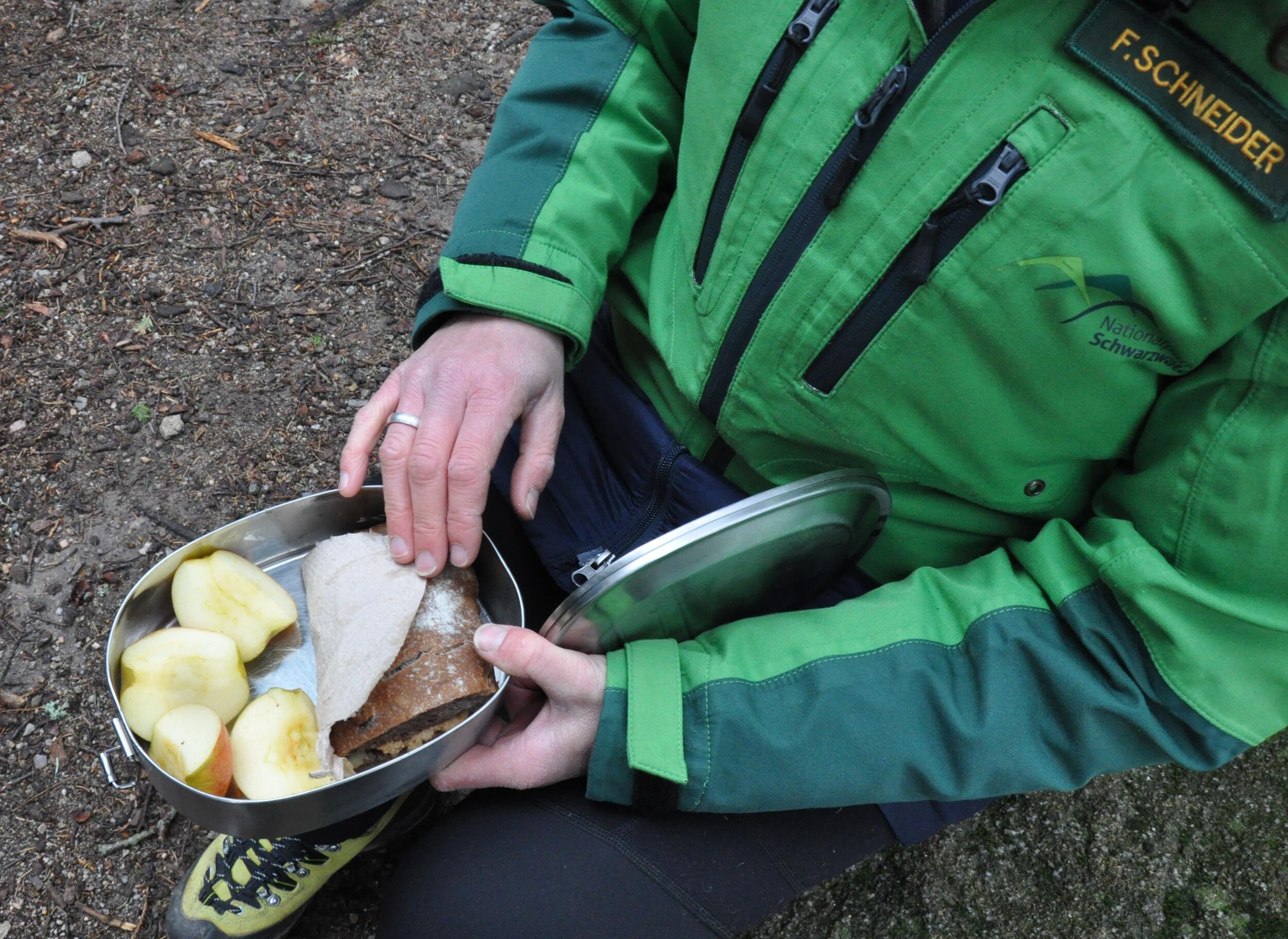 In einer Edelstahl-Vesperdose ligen Apfelschnitze und ein Brot