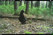 © Nationalpark Schwarzwald