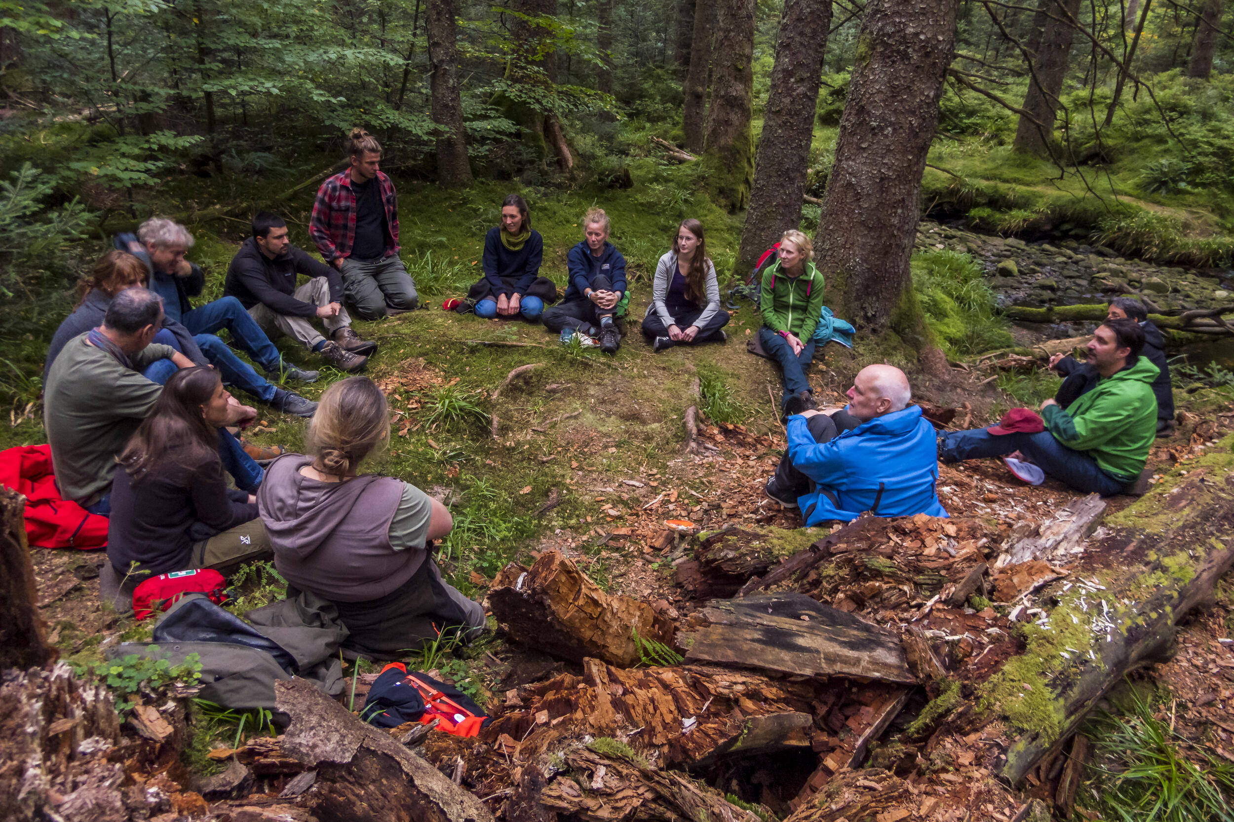 Bildungsakteure sitzen auf dem Waldboden in einer Gesprächsrunde © Luis Scheuermann (Nationalpark Schwarzwald) 