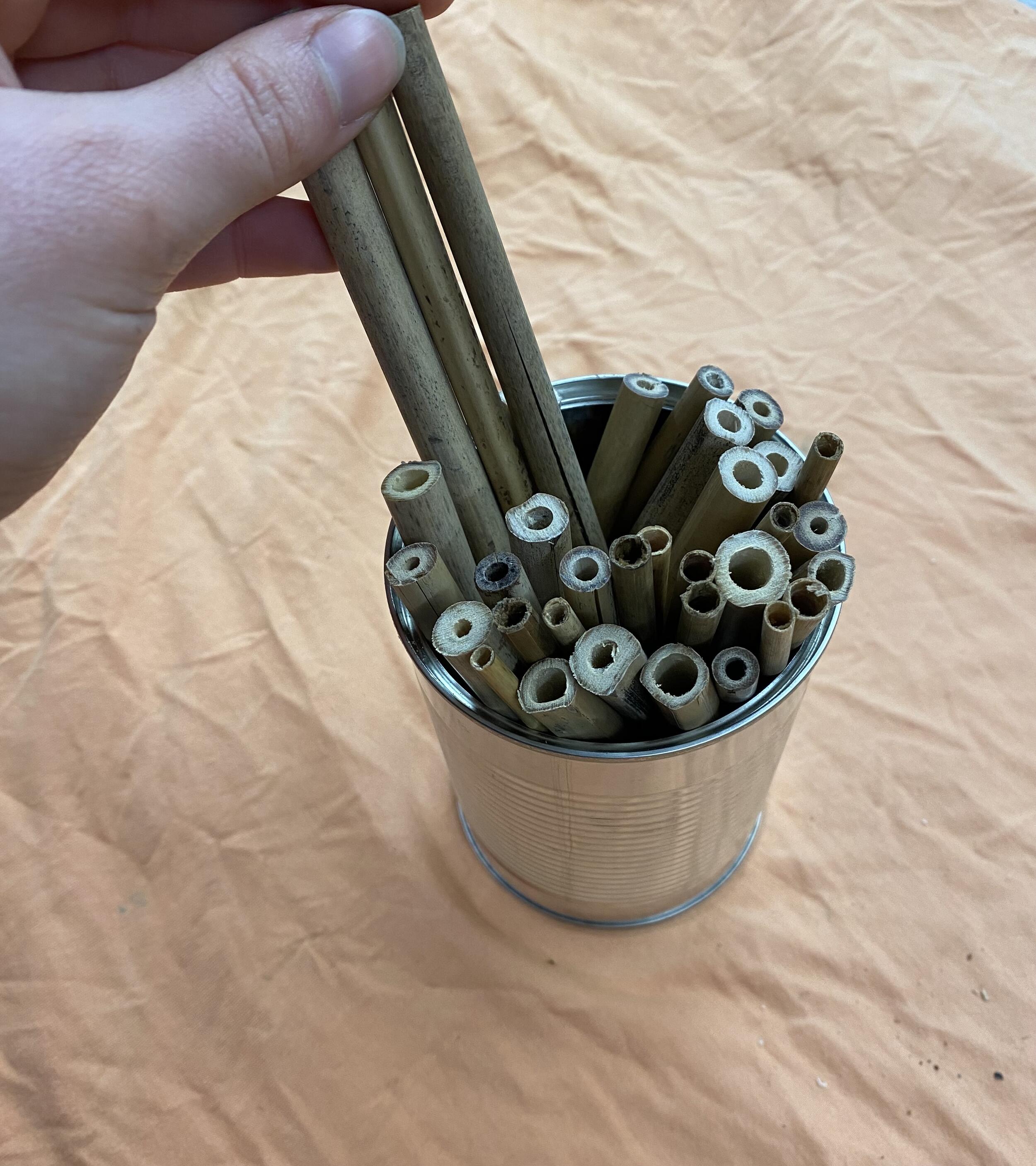 Dose befüllen © Theresa Römpp (Nationalpark Schwarzwald)