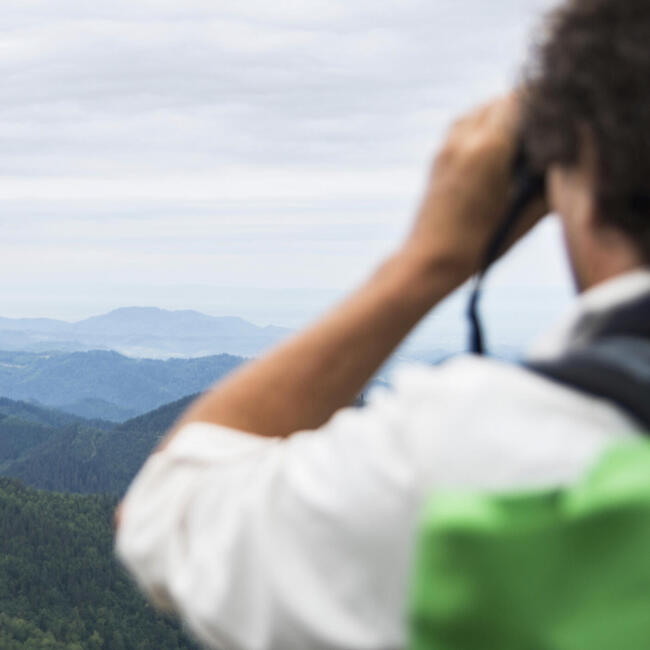 Im Vordergrund ist ein Mann in heller Jacke, der in ein Fernglas schaut. Im Hintergrund sind mehrere kleine und mittlere Berge zu sehen. Der Himmel ist grau. Foto: Daniel Müller (Nationalpark Schwarzwald)