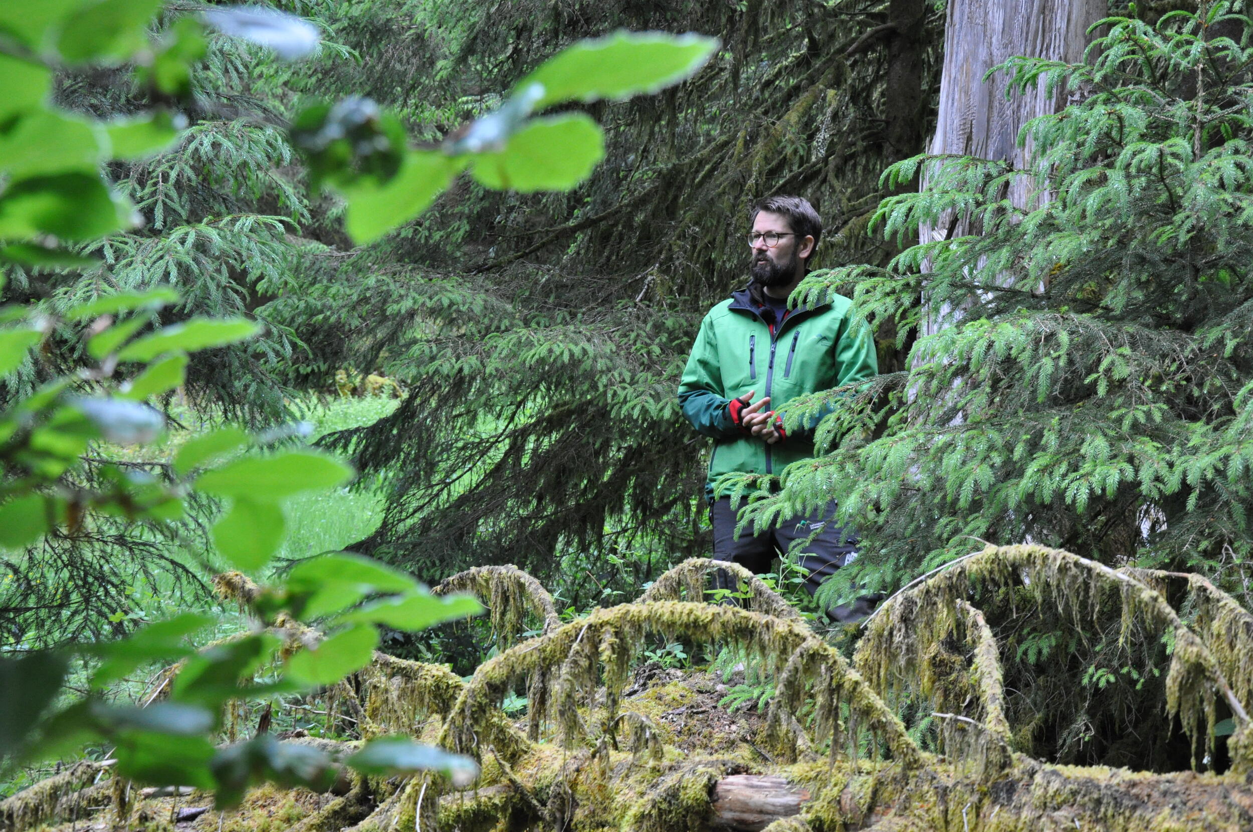Mann steht im Wald und spricht