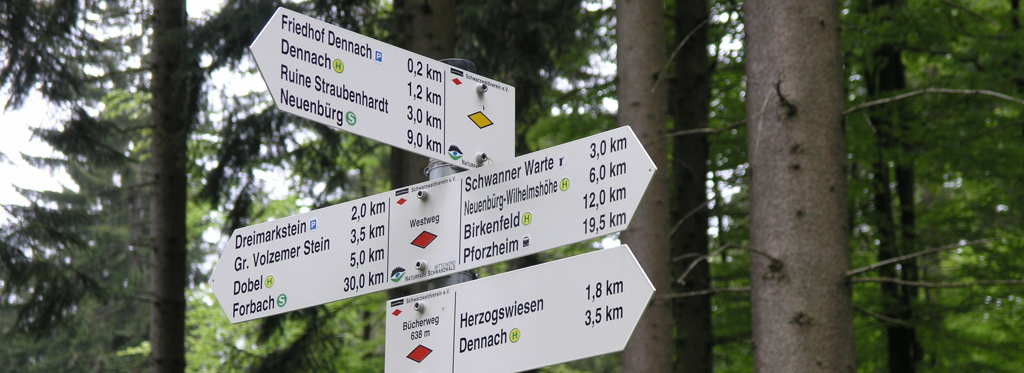 Wegweiser mit der Raute des Schwarzwaldvereins - Foto: © Schwarzwaldverein e.V.