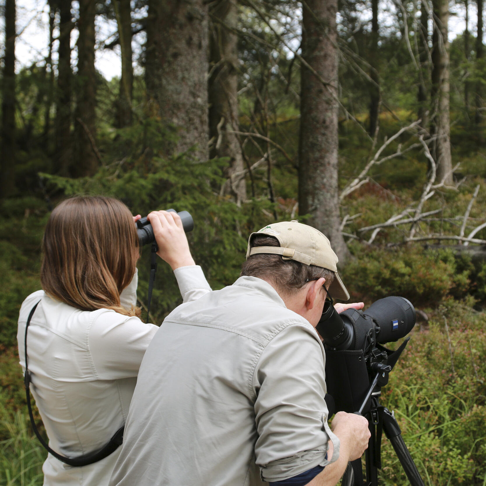 Ranger, die mit Ferngläsern die Natur beobachten