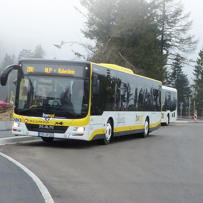 Anreise mit dem ÖPNV © Natalie Beller (Nationalpark Schwarzwald)