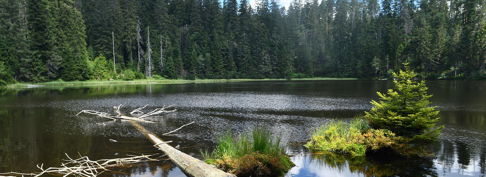 Aufnahme eines Sees  - Foto: Charly Ebel (Nationalpark Schwarzwald)