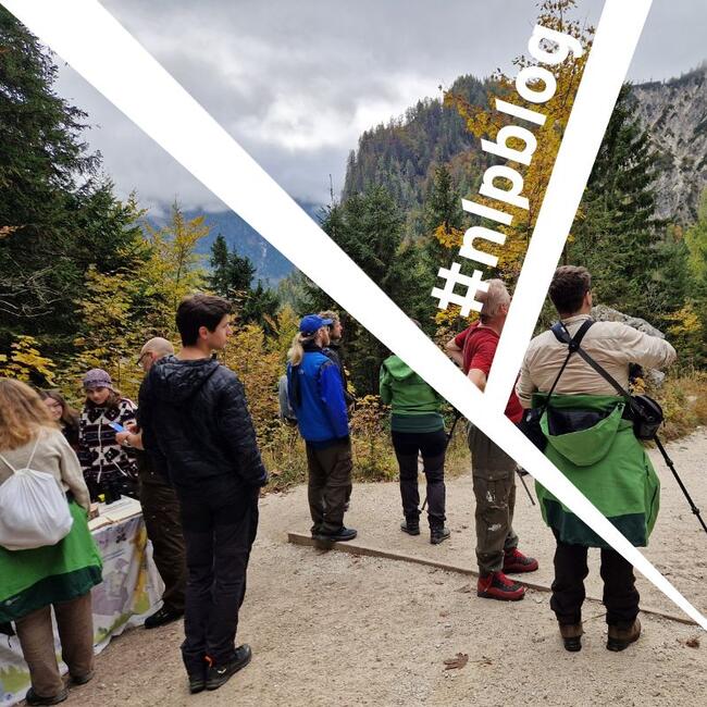 Eine Gruppe Menschen steht auf einem Weg. Vor ihnen ist ein großer Berg. Foto: Nadine Berger